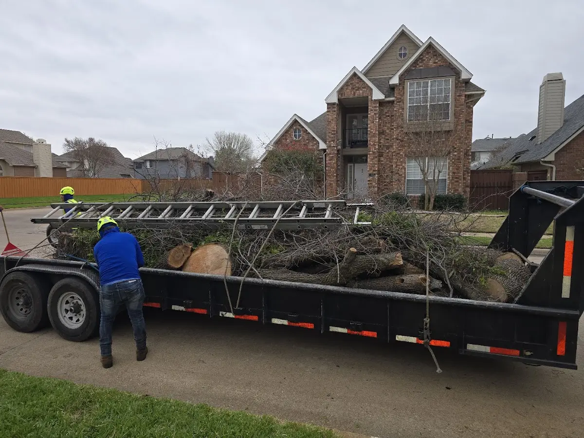 Expert Lot Clearing with proper safety equipment in Weir